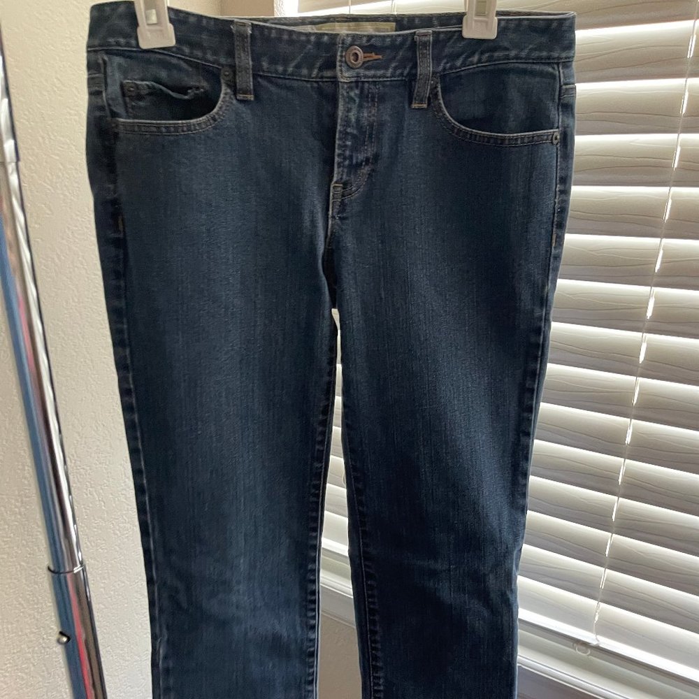 Ann Taylor Loft Jeans